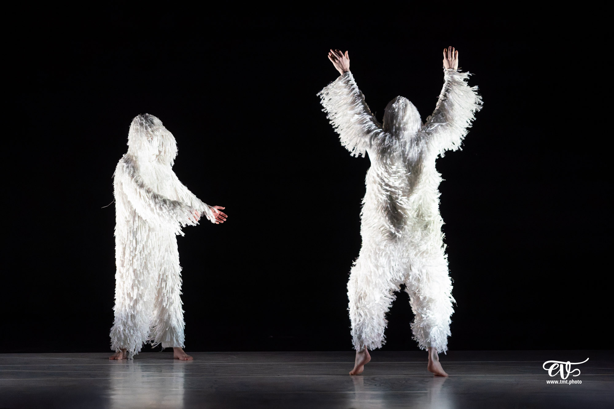 A4 (COMME LA FEUILLE) CIE CHICOS MAMBO